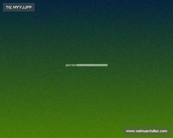 plaintext全景扫描南充电竞生态：从热门网游到移动电竞